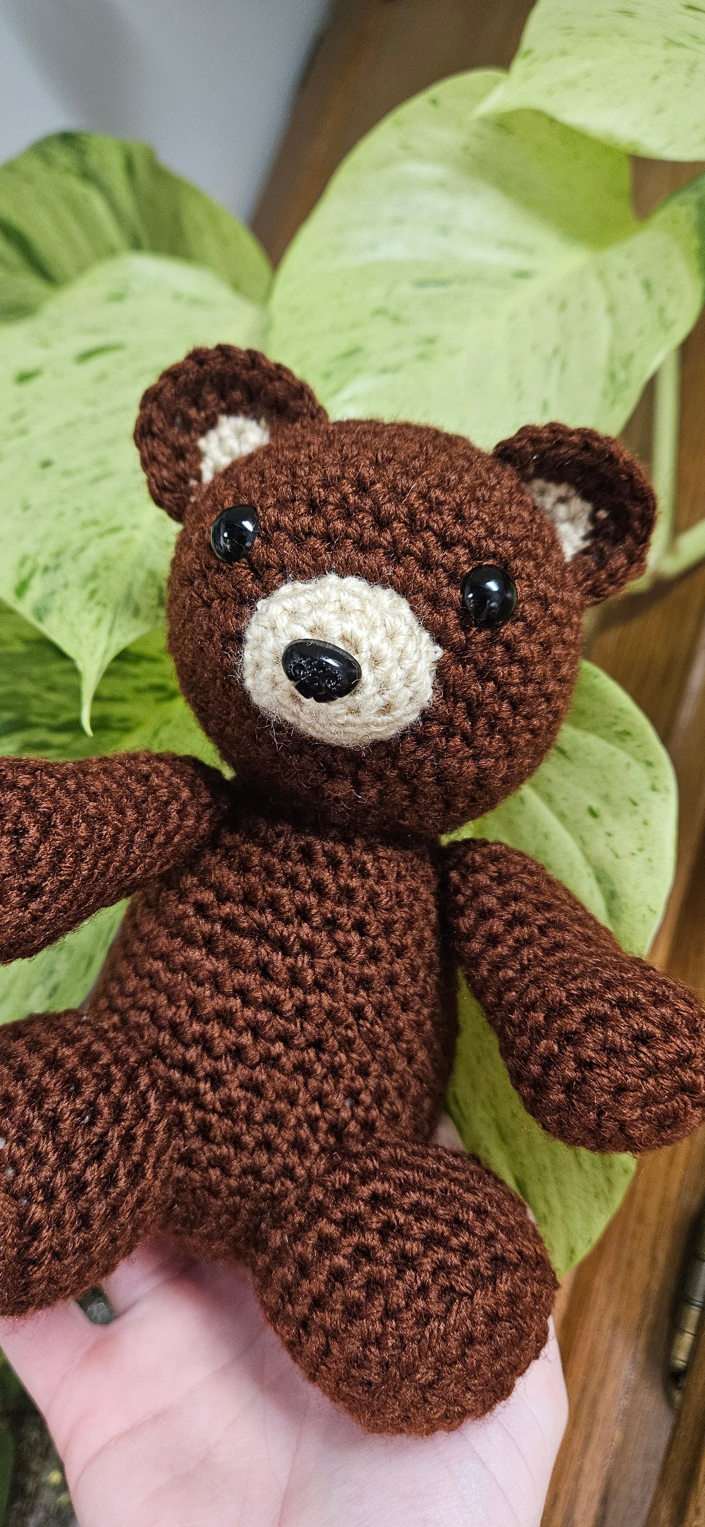 Milo the Teddy Bear