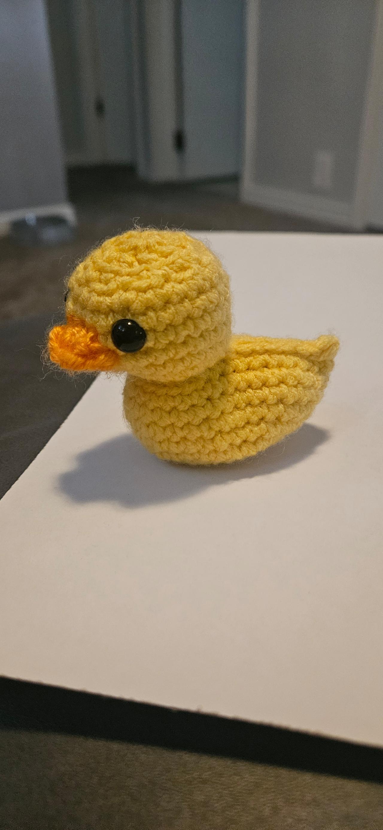 Hand-Stitched Quacker