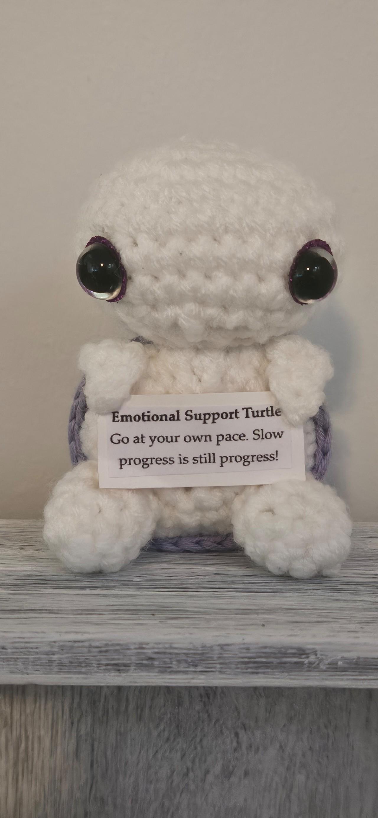 Mabel the Emotional Support Turtle 🐢