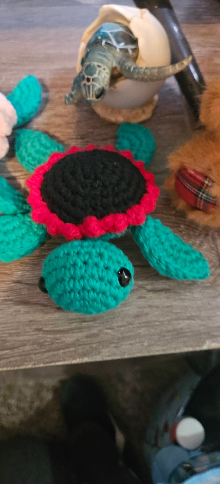 Blossom and Poppy the Flower Shell Turtles