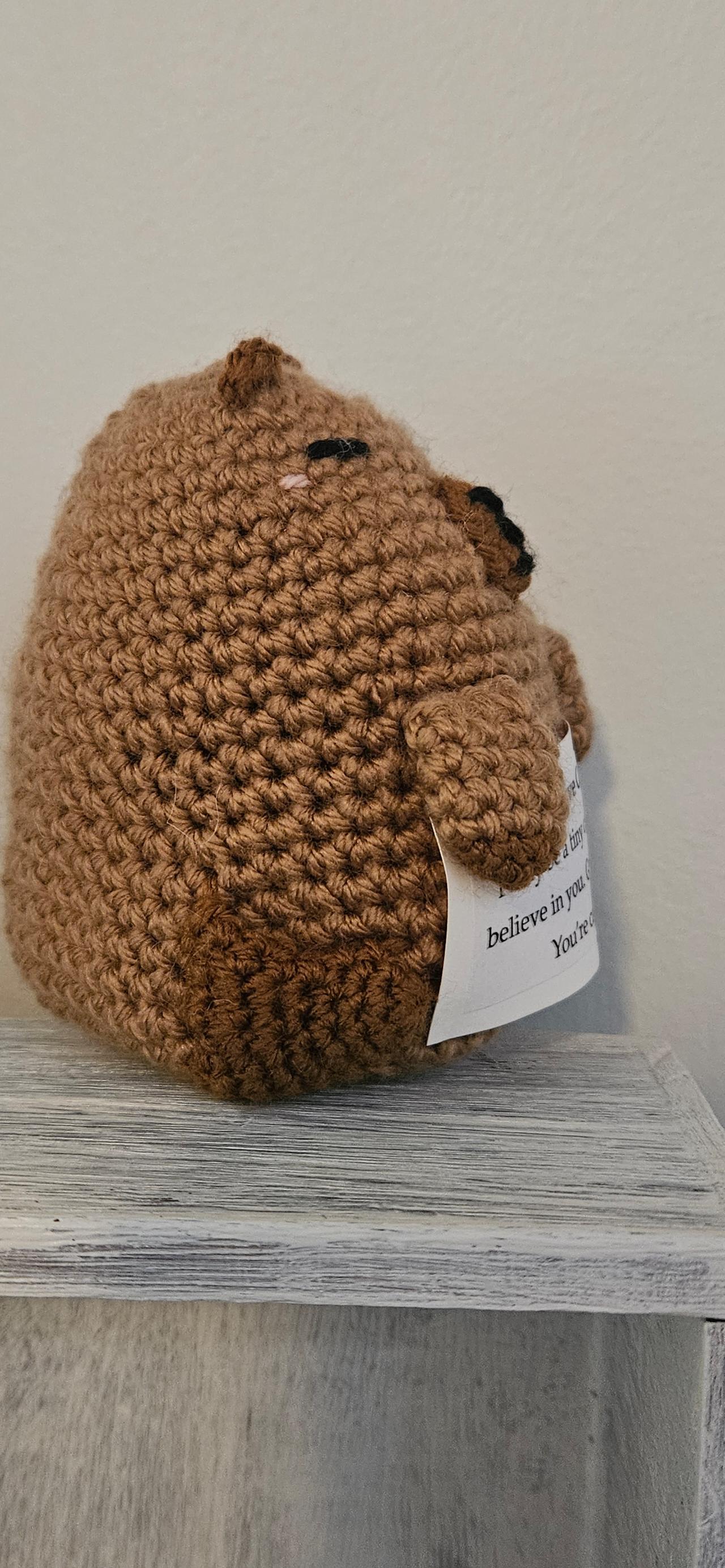 Milo the Positive Capybara ☺️