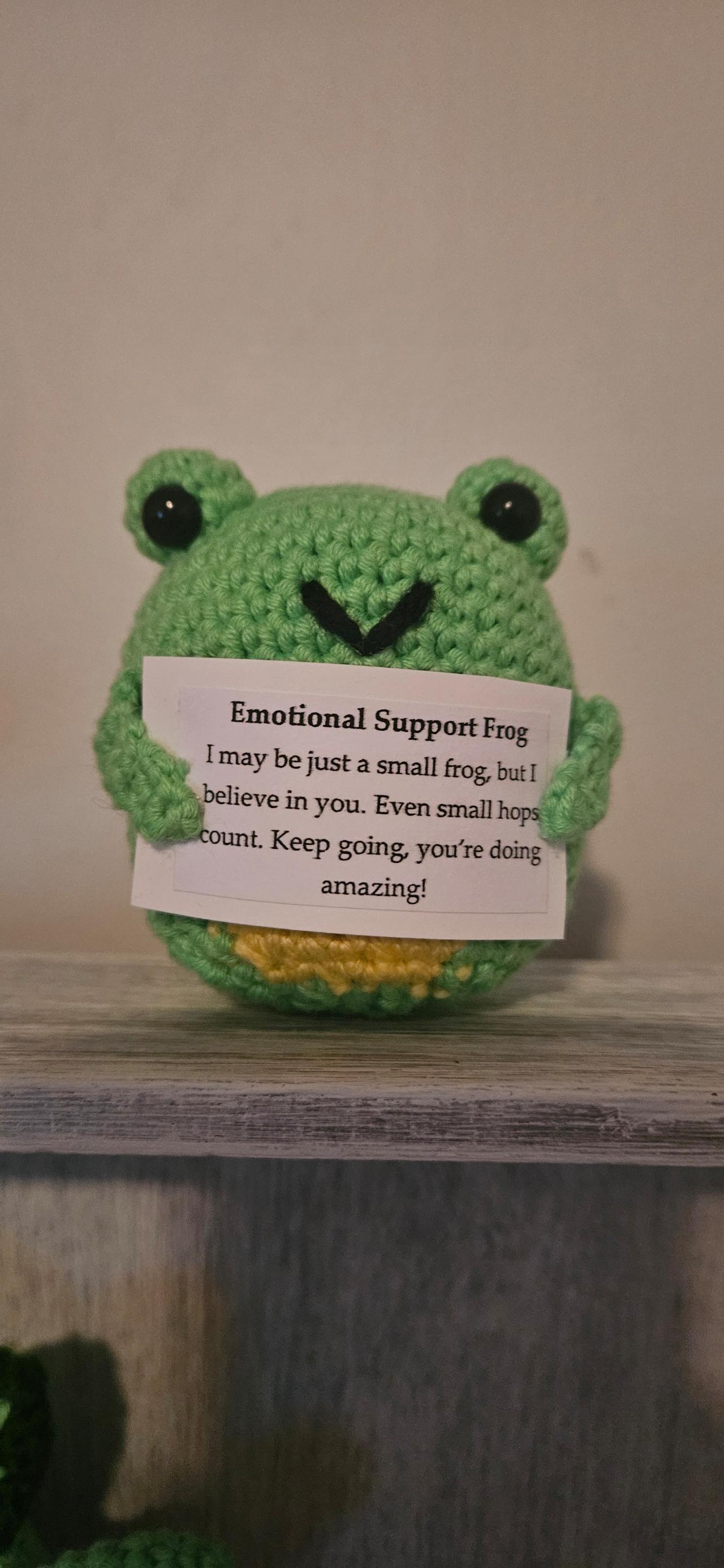 Pip the Emotional Support Frog 🐸