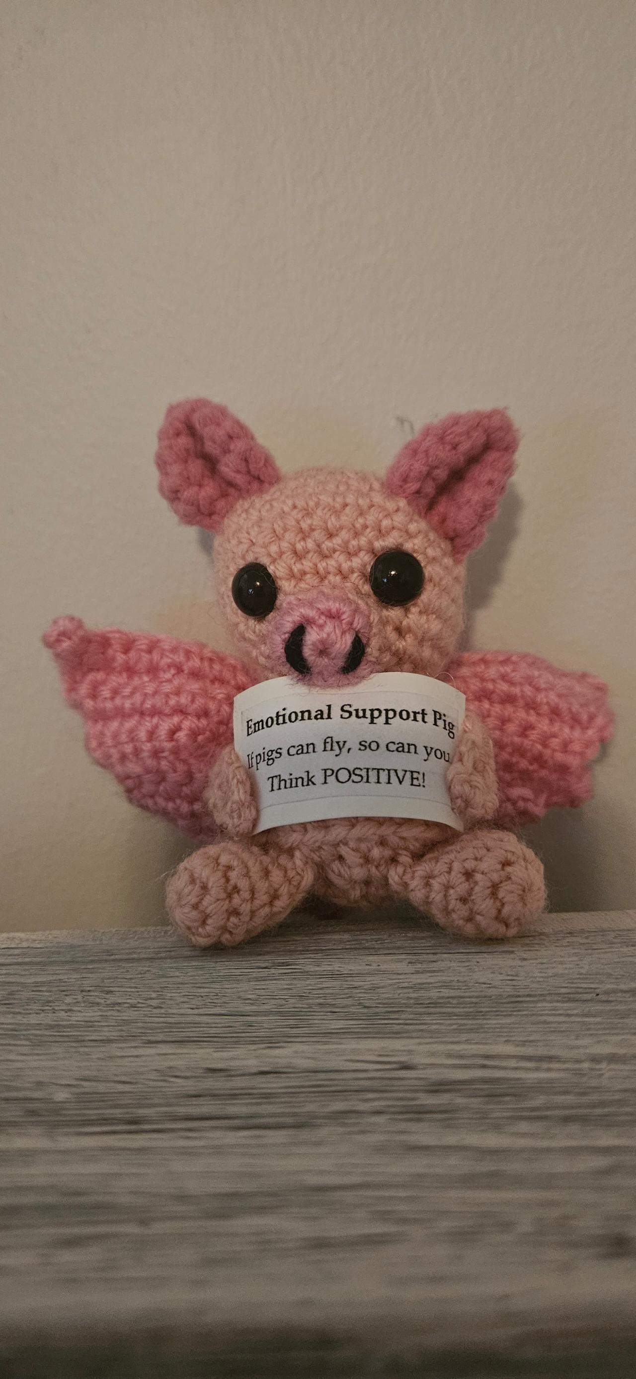 Skye the Positive Flying Pig 🐷🪽