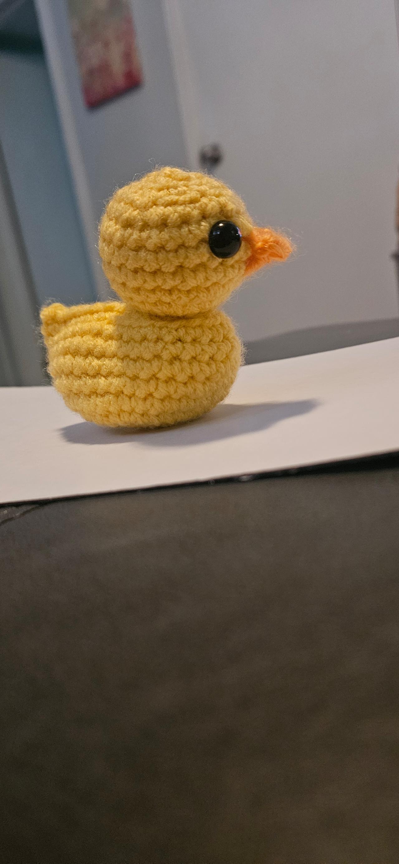 Hand-Stitched Quacker