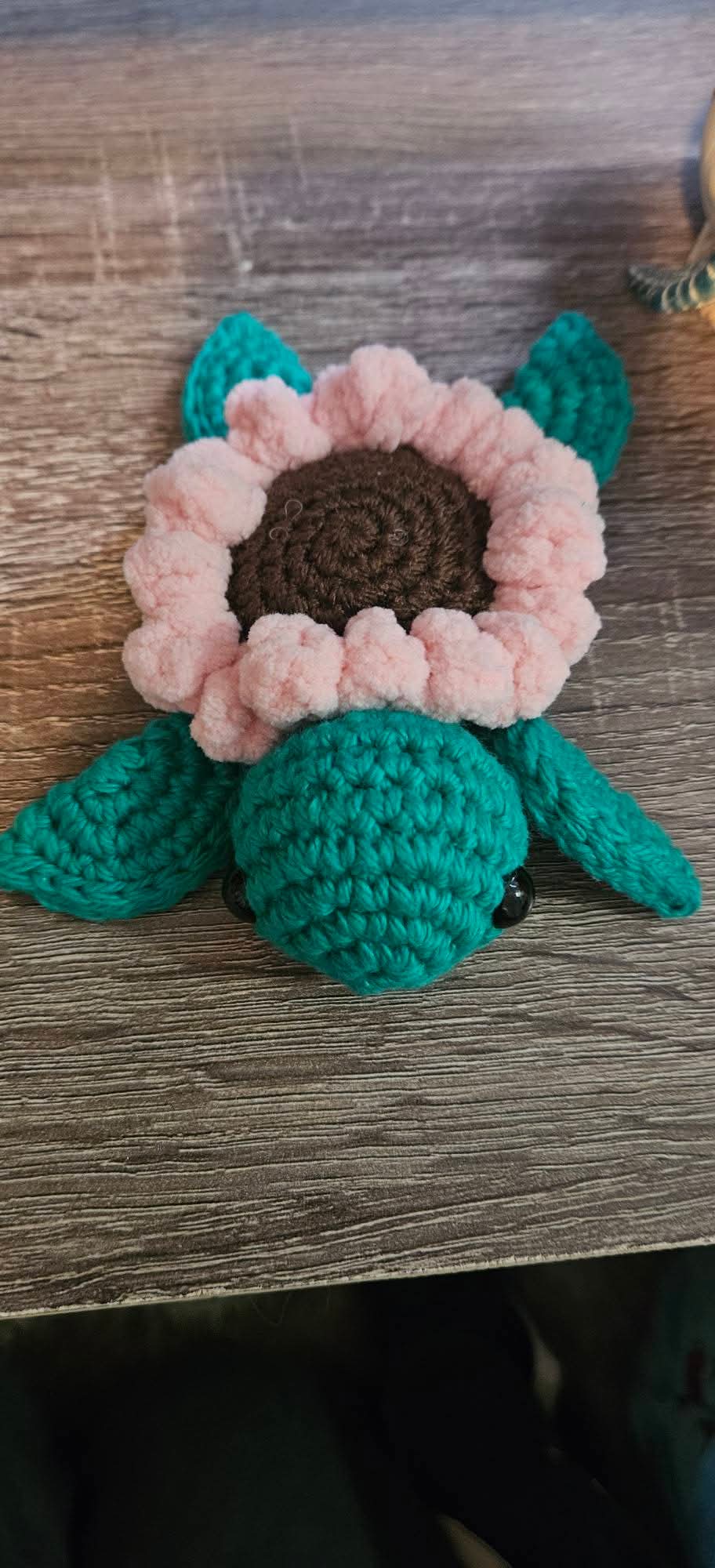 Blossom and Poppy the Flower Shell Turtles