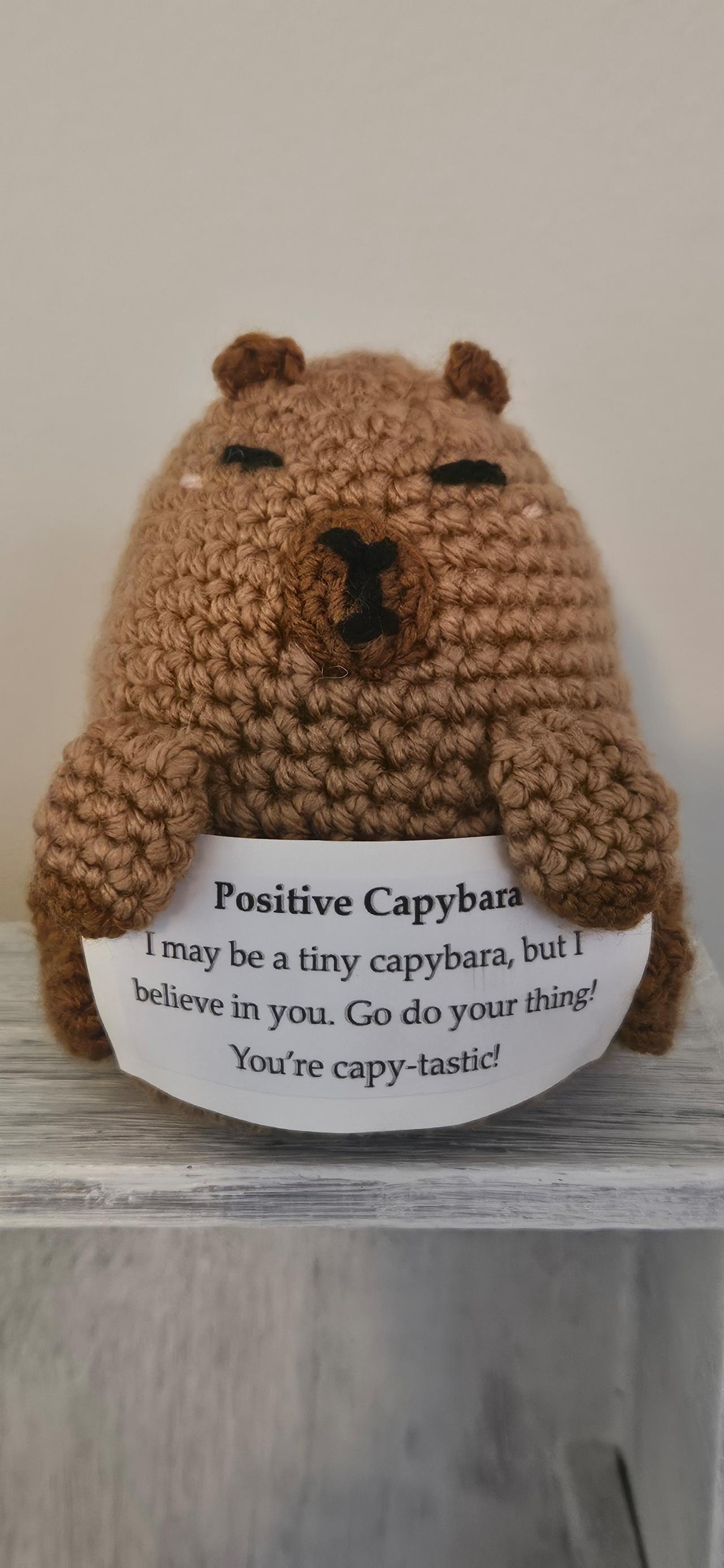 Milo the Positive Capybara ☺️