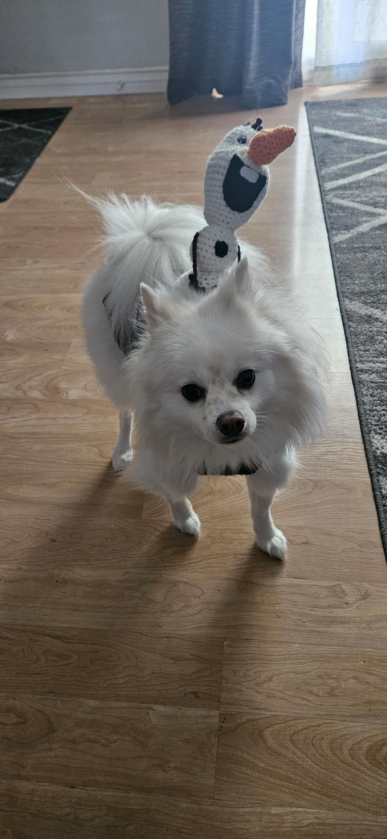 ⛄ Olaf ⛄