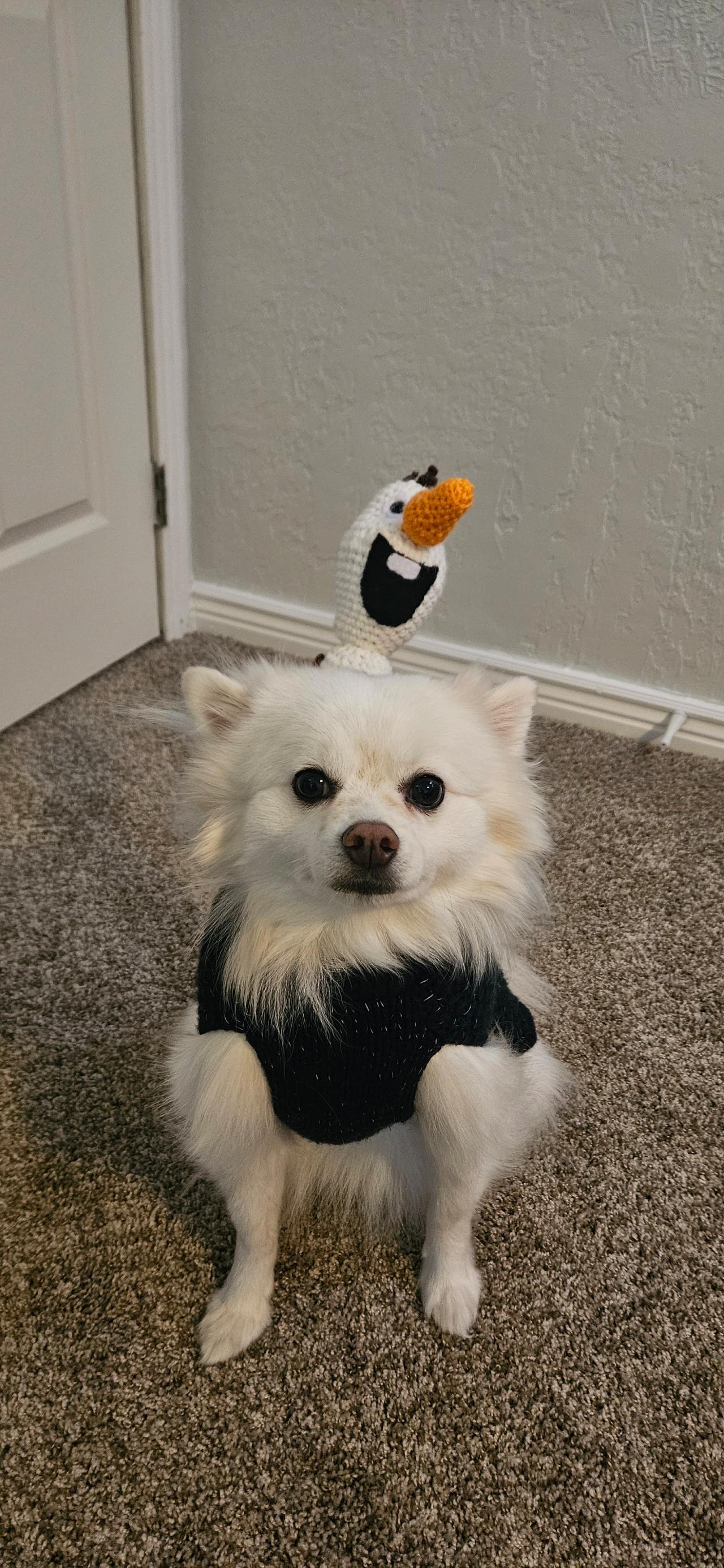 ⛄ Olaf ⛄