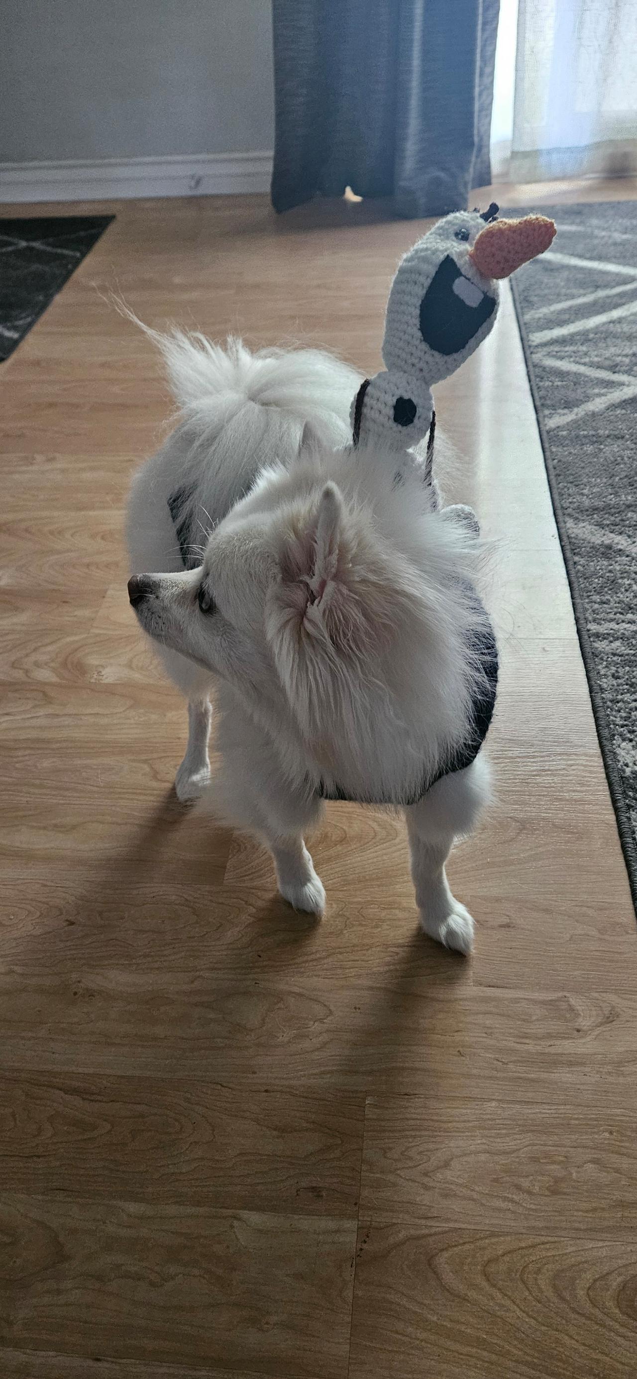 ⛄ Olaf ⛄