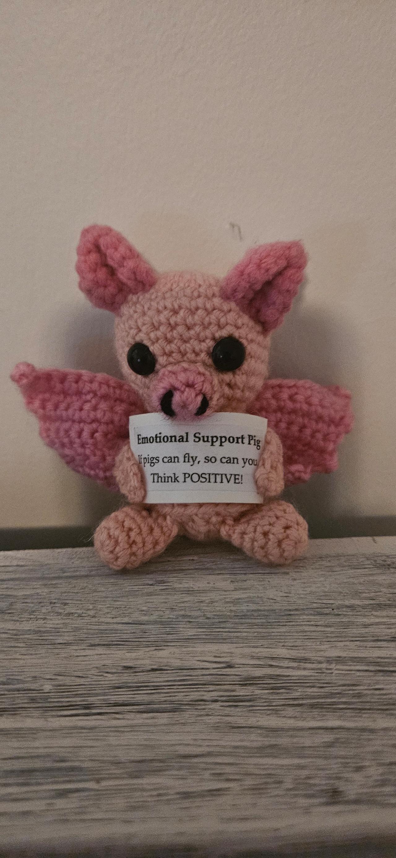 Skye the Positive Flying Pig 🐷🪽